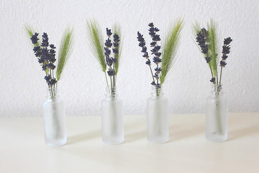 The Power of Lavender Essential Oil: Uses for more natural living