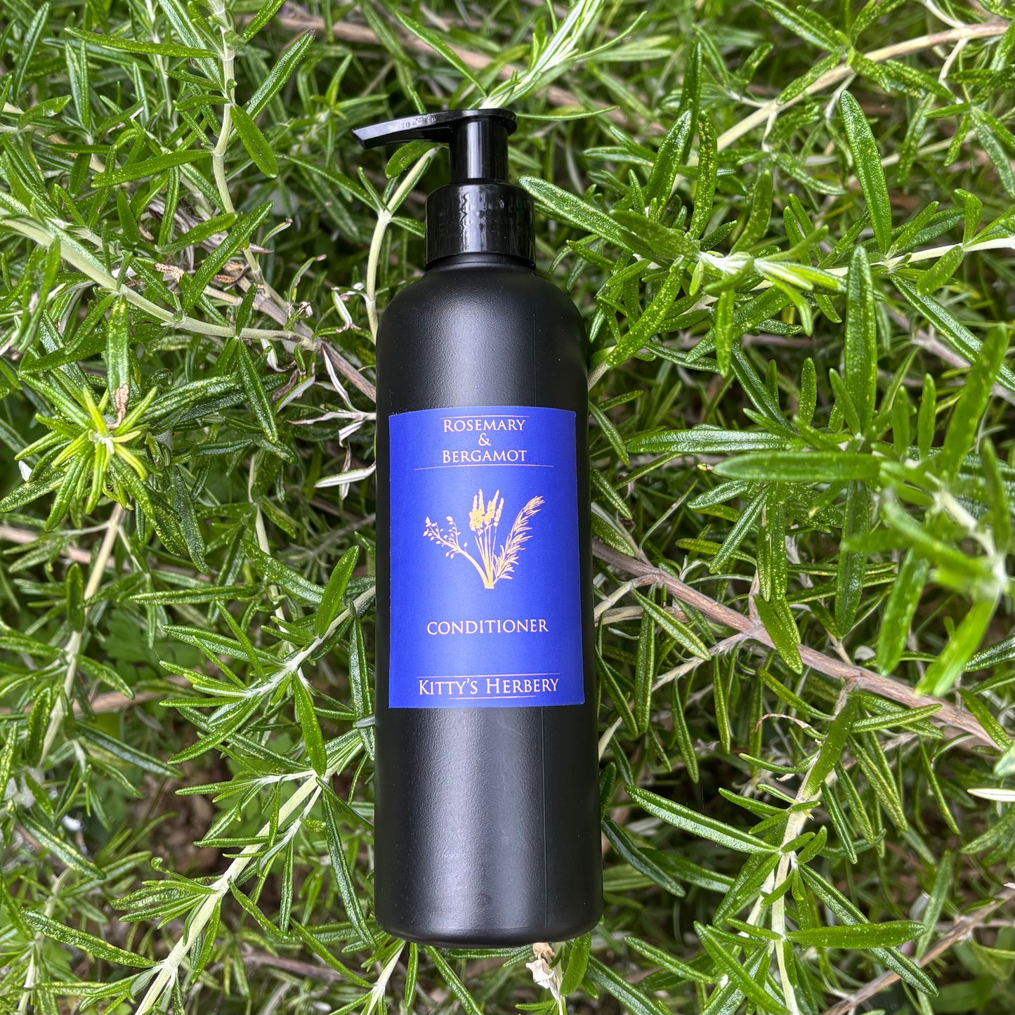 Rosemary & Bergamot Conditioner