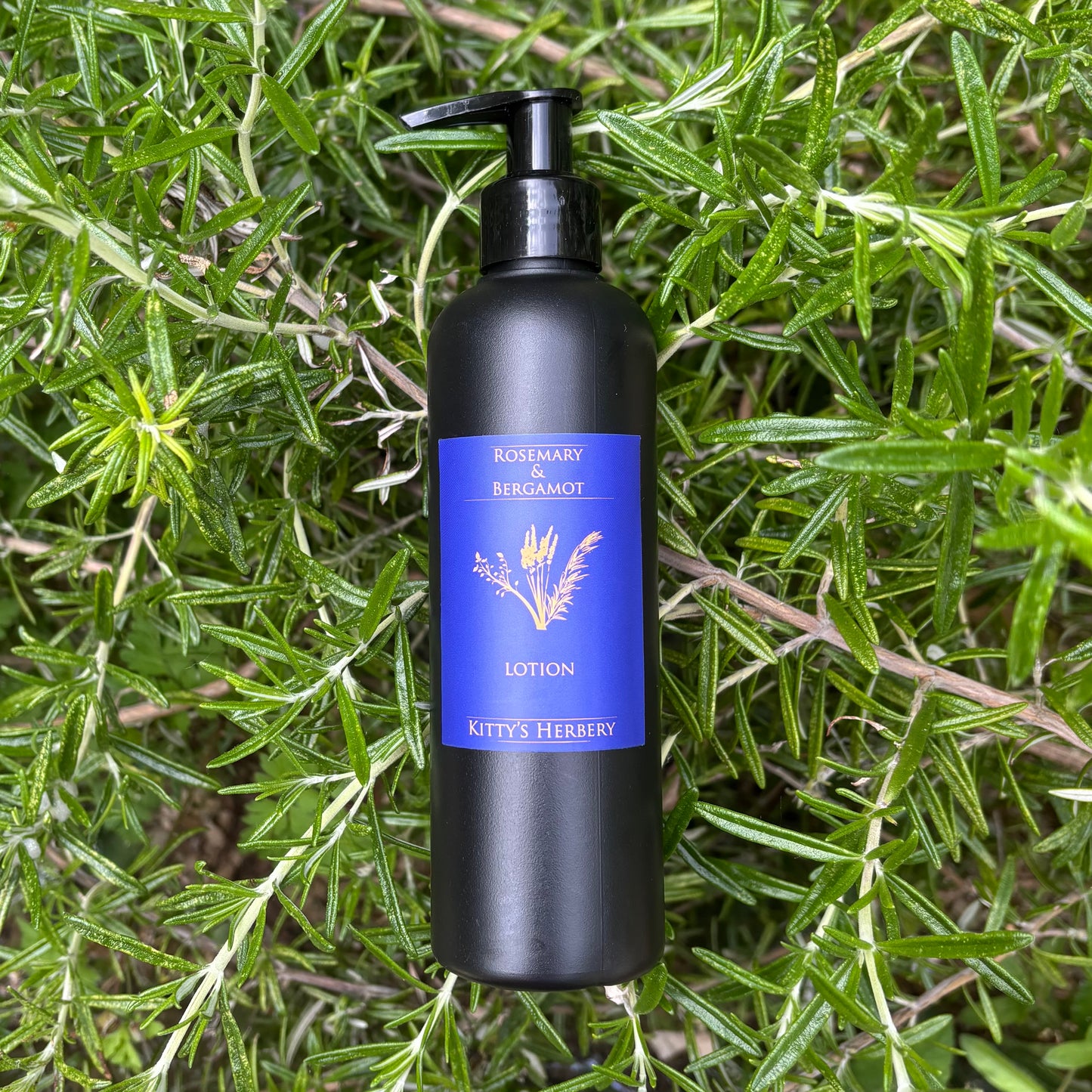 Rosemary & Bergamot Lotion