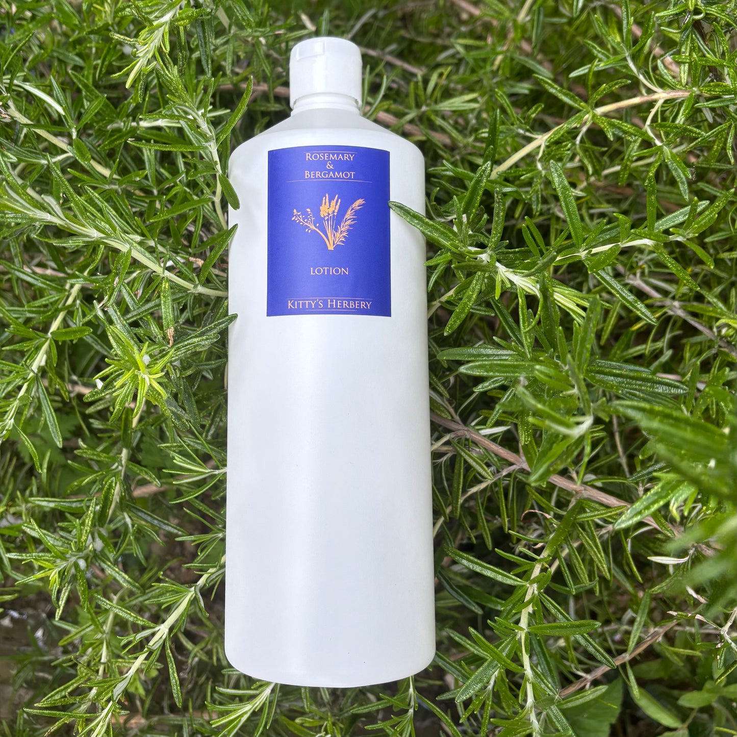Rosemary & Bergamot Lotion 1KG