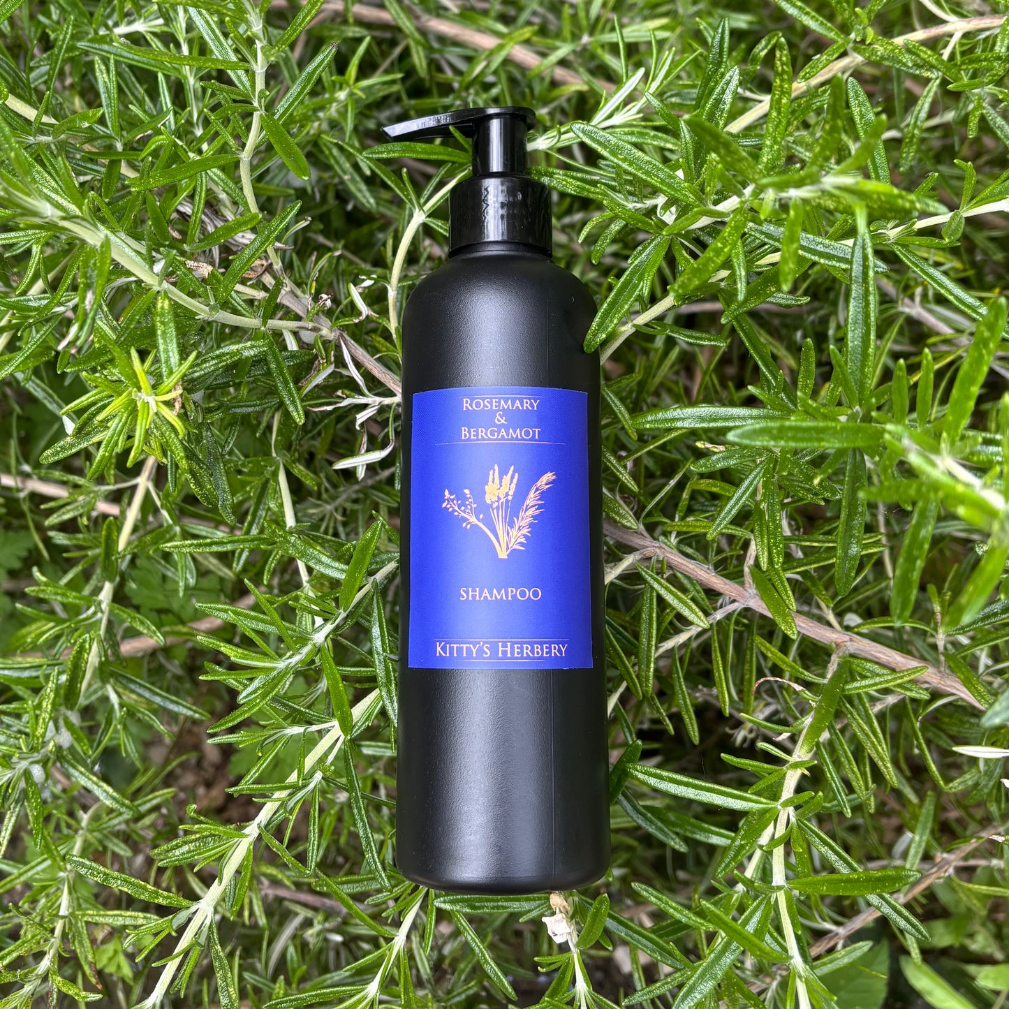 Rosemary & Bergamot Shampoo
