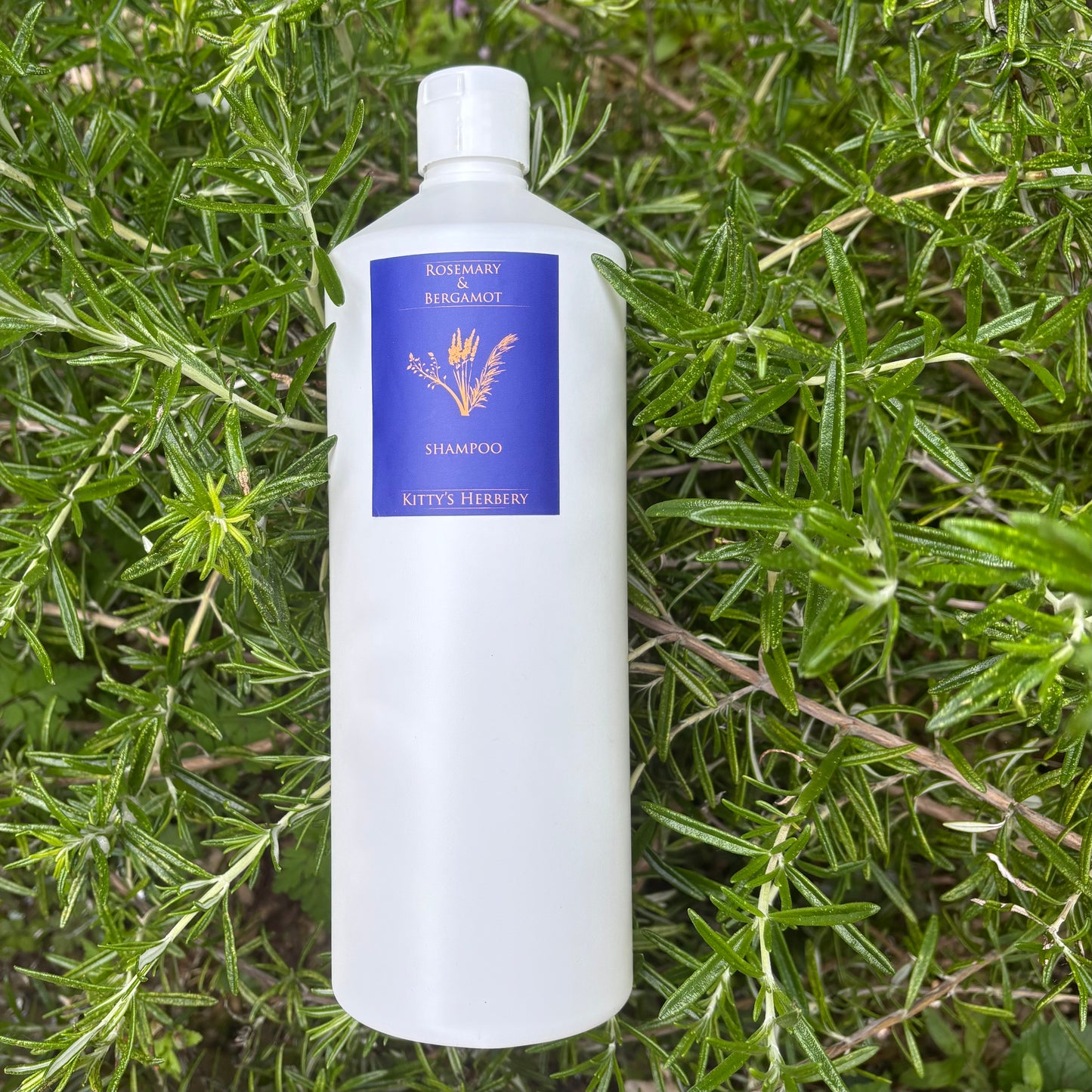 Rosemary & Bergamot Shampoo 1KG